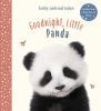 Goodnight__Little_Panda
