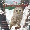 The_Christmas_Owl