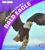 A_day_in_the_life_of_a_bald_eagle