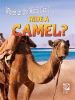 Where_in_the_world_can_I____ride_a_camel_