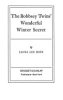 The_Bobbsey_twins__wonderful_winter_secret