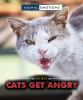 When_cats_get_angry
